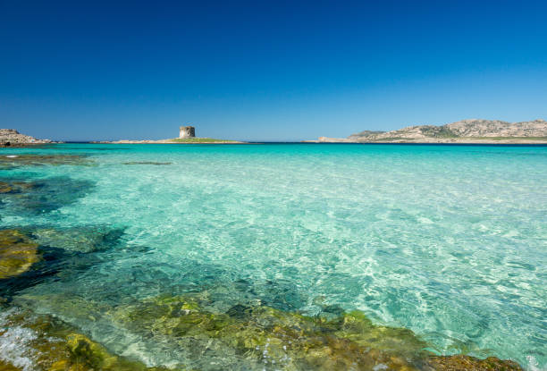 istock Stintino La Pelosa 691426122