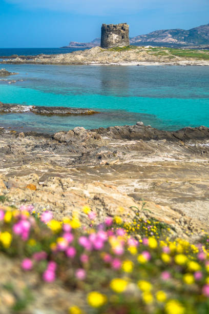 istock Stintino La Pelosa 691426460