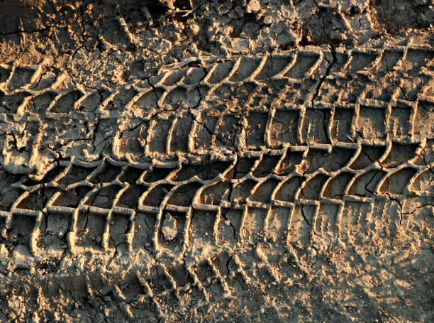 istock Truck traces on a mud 691432738