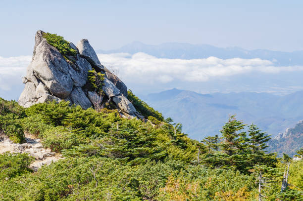 Ridge Trail, Mt. Kinpu (Mt. Kinpou) Mt. Kinpo, a trail on the ridgeline
 akaishi mountains stock pictures, royalty-free photos & images