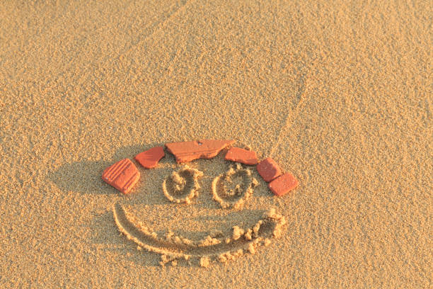 sand man made at the beach with sand, sticks and shells.