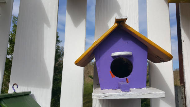 istock Bird house on the white fence. 691438806