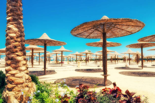 chaise lounges and parasols on the beach against the blue sky and sea. egypt, hurghada - hurghada imagens e fotografias de stock