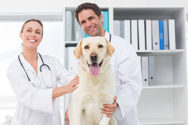 счастливые ветеринары с собакой - doctor dog portrait animal hospital стоковые фото и изображения