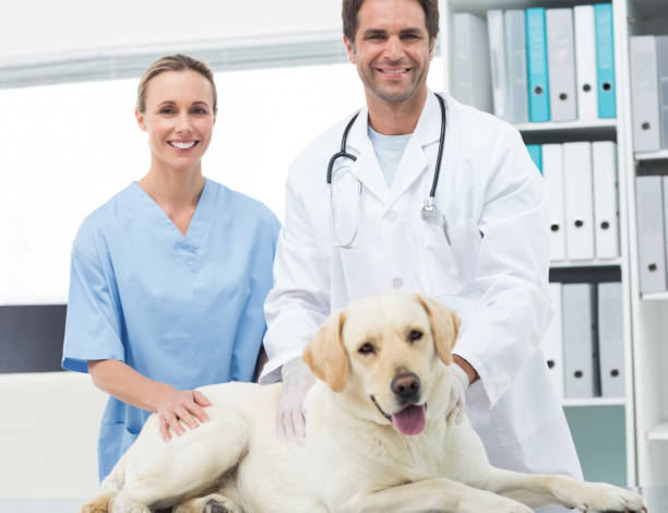 istock Veterinarians with dog in clinic 691444876