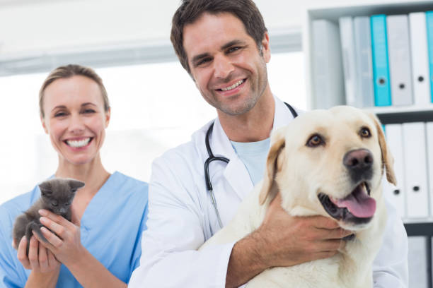 istock Confident veterinarians with dog and kitten 691444932