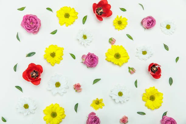 istock Top view of beautiful floral pattern with various blooming flowers isolated on white 691448722