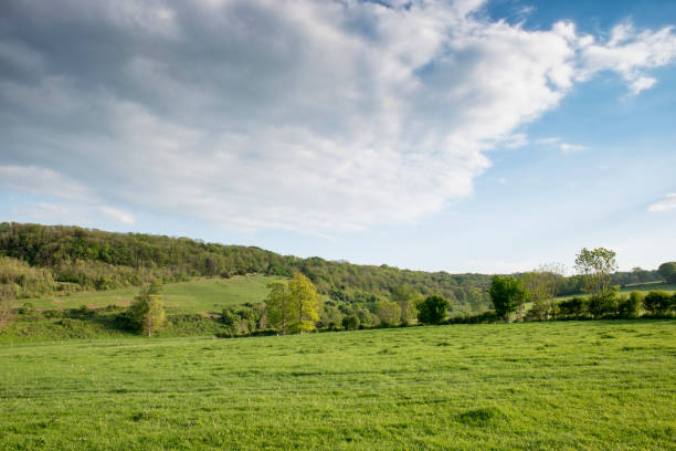istock Lush Greens, Forest Hills, and Beautiful Cloudscape 691449730