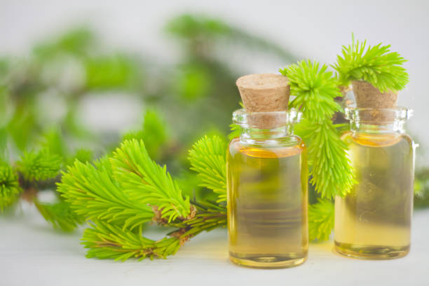 Essence of pine on table in beautiful glass jar stock photo
