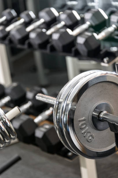 istock Dumbbells in a gym 691452218