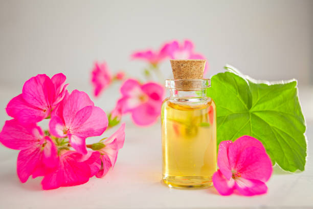 essence de fleurs sur la table en pot de verre magnifique - beautiful red pink wood photos et images de collection