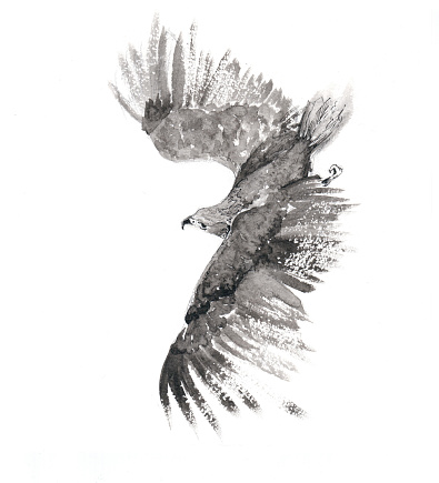 picture soaring bird painted with ink on paper