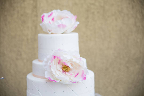 istock Food detail 691460962