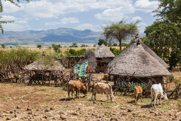 istock Small roadside farm. Omo valley near Konso. Ethiopia 691464900