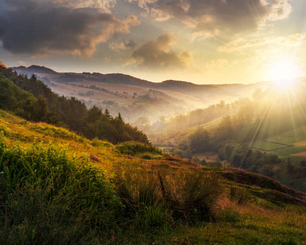 istock foggy hillside in rural area at sunset 691470744