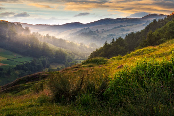 istock foggy hillside in rural area 691470782