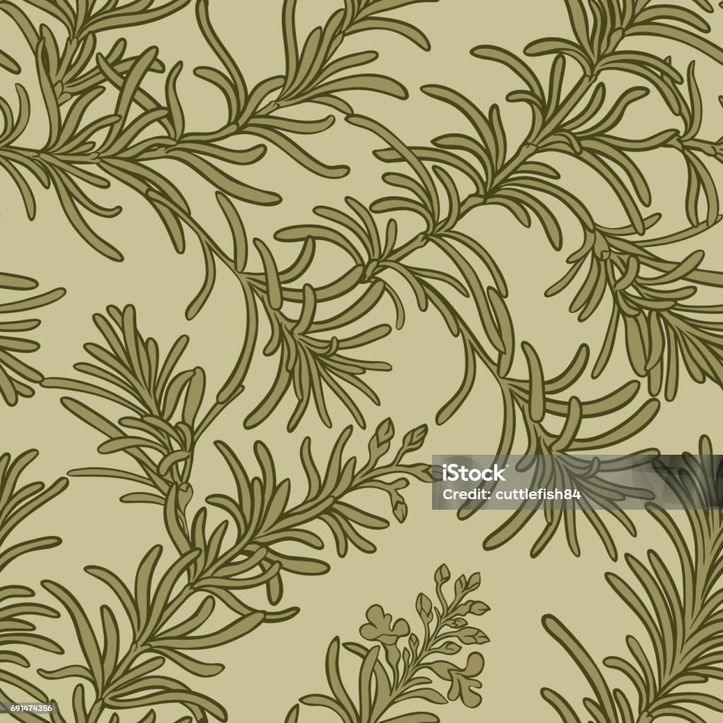Rosemary Pattern Color Rosemary Vector Pattern Stock Illustration - Download Image Now ...