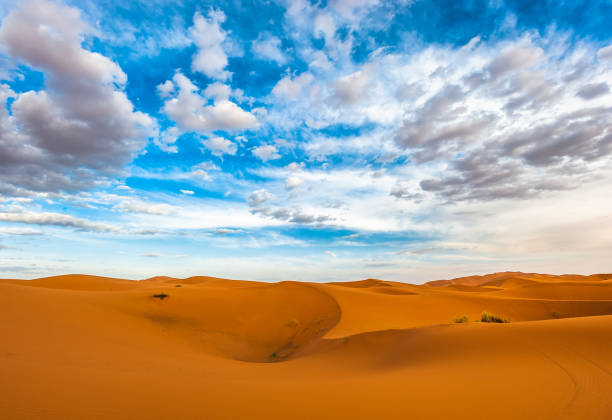 istock Sand dunes of Erg Chebbi, Morocco 691482370