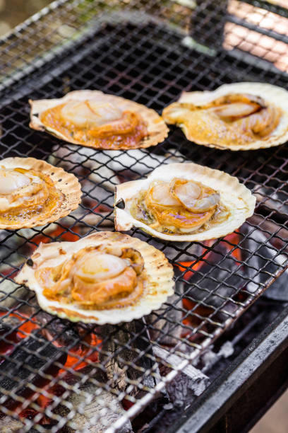 istock Scallop of scallops 691490398