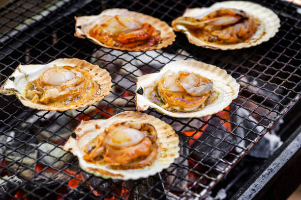 istock Scallop of scallops 691490482