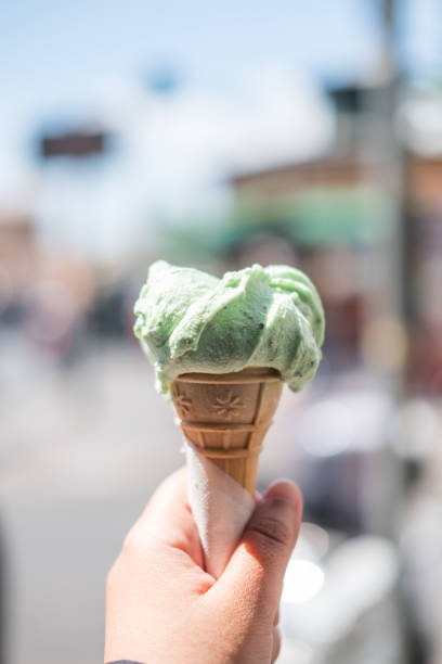 istock Hand holding mint chocolate chip Gelato, Ice-cream with blur background. 691493772