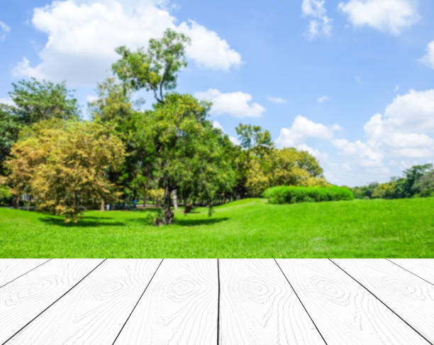 istock Perspective white wood over blur park background, product display montage,  spring and summer season 691510994