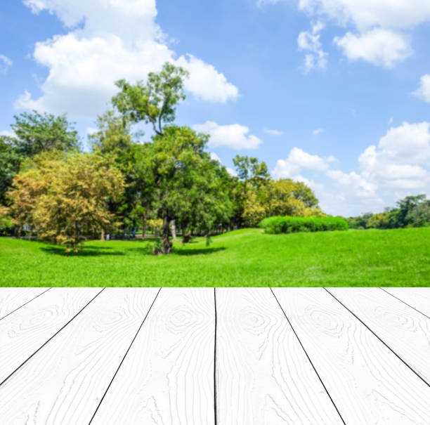 istock Perspective white wood over blur park background, product display montage,  spring and summer season 691511004