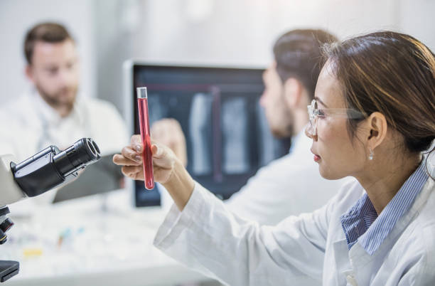 scientist looking at test tube - hematology imagens e fotografias de stock