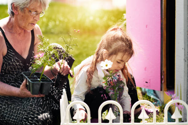 istock Little girls gardening 691519730