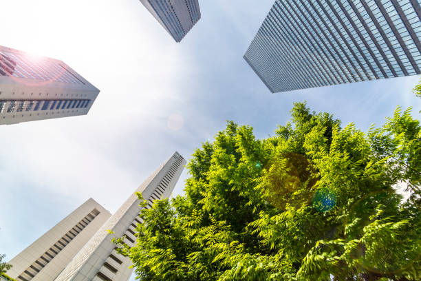 istock Shinjuku Tall Buildings Group 691519976