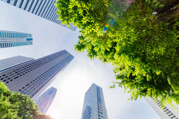 istock Shinjuku Tall Buildings Group 691520192