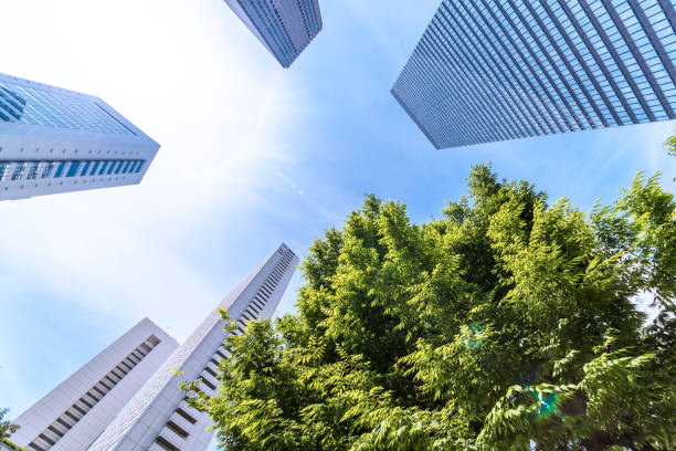 istock Shinjuku Tall Buildings Group 691520298