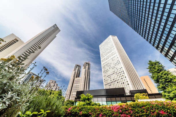 istock Shinjuku Tall Buildings Group 691520380
