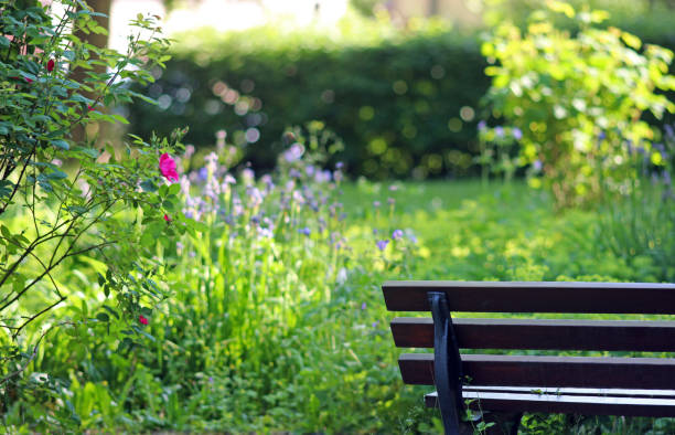istock invitation to relax, bench in a park 691520748