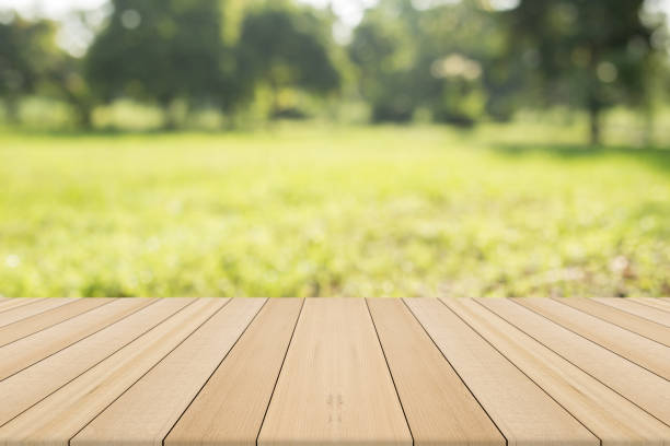 istock Empty wooden table with natural background,Free space for product editing 691523622