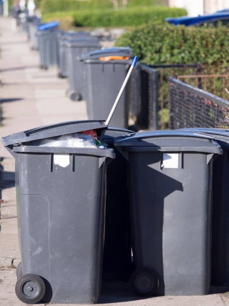 istock Garbage bins lined up in the street on collection day 691524726