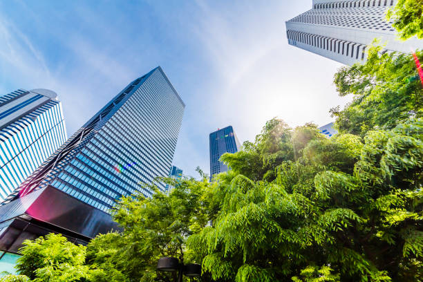 istock Shinjuku Tall Buildings Group 691527284