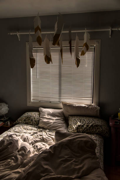 istock Bed with morning light and hanging feathers decor 691527590