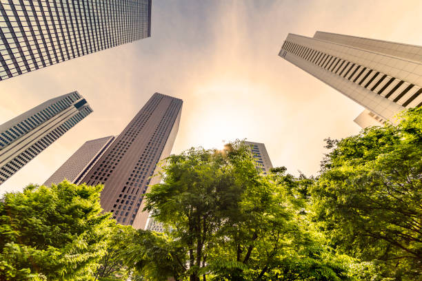 istock Shinjuku Tall Buildings Group 691527626
