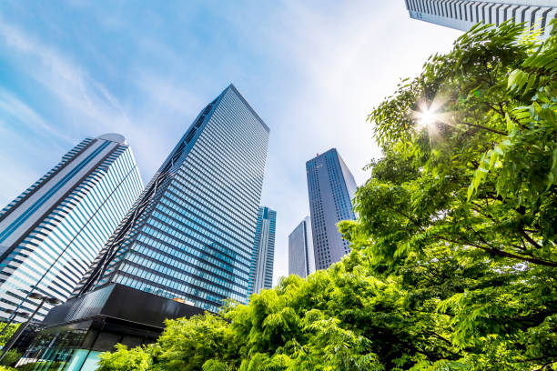 istock Shinjuku Tall Buildings Group 691530726