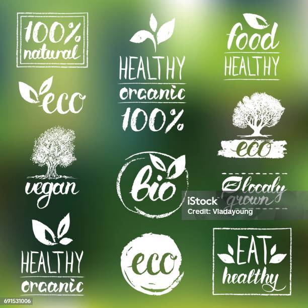 Vector Eco Organic Bio Logos Handwritten Healthy Eat Logotypes Set Vegan Natural Food And Drinks Signs Stock Illustration - Download Image Now