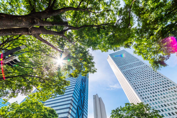 istock Shinjuku Tall Buildings Group 691531076
