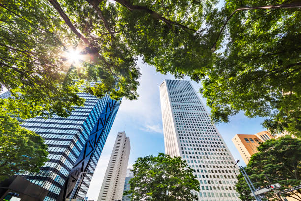 istock Shinjuku Tall Buildings Group 691531324
