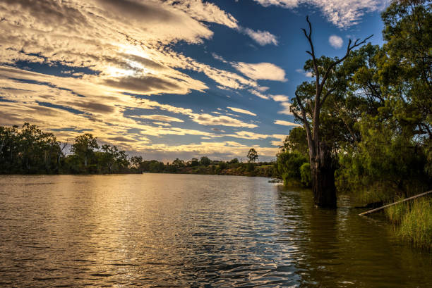 sonnenuntergang über murray river in mildura, australien - mildura stock-fotos und bilder