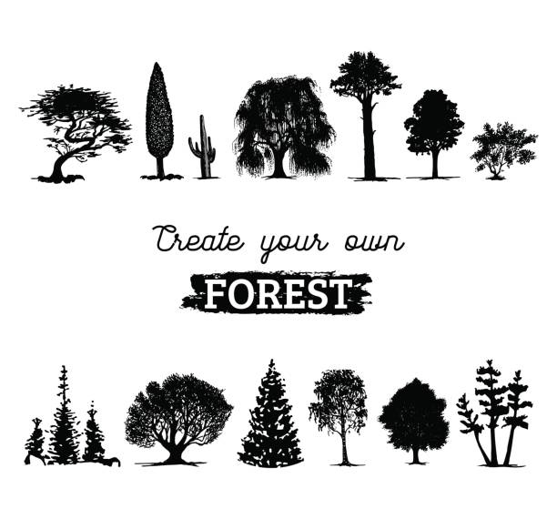 Vector different trees silhouettes. Create your own forest. Black woods icons set. Grove constructor. Vector different trees silhouettes. Create your own forest. Black woods icons set. Grove constructor linden new jersey stock illustrations