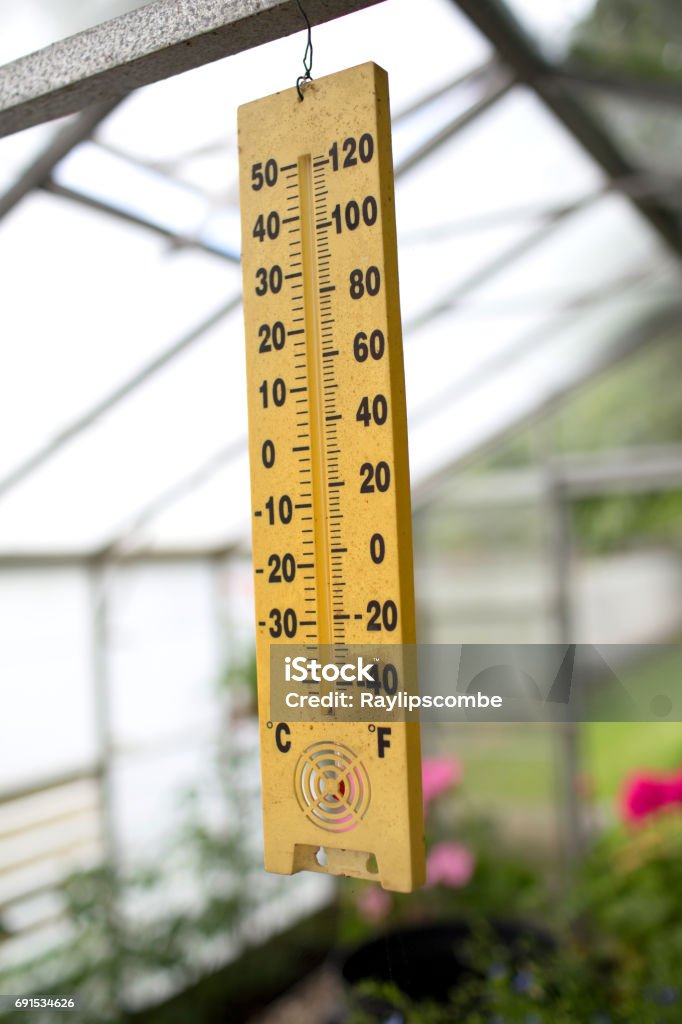 Old Thermometer In A Greenhouse Stock Photo - Download Image Now