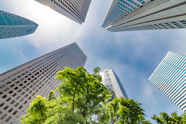 istock Shinjuku Tall Buildings Group 691535422