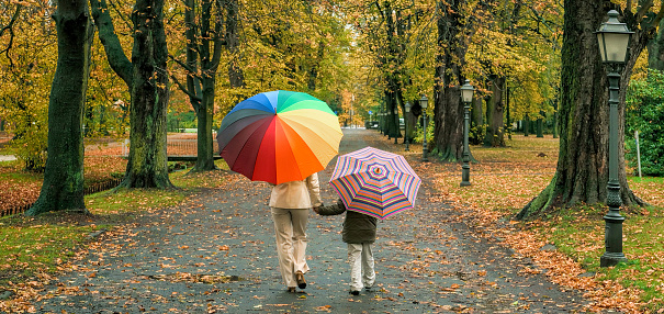 Rear view on mother and son with multi colored umbrellas walking in rain on footpath in autumn through park