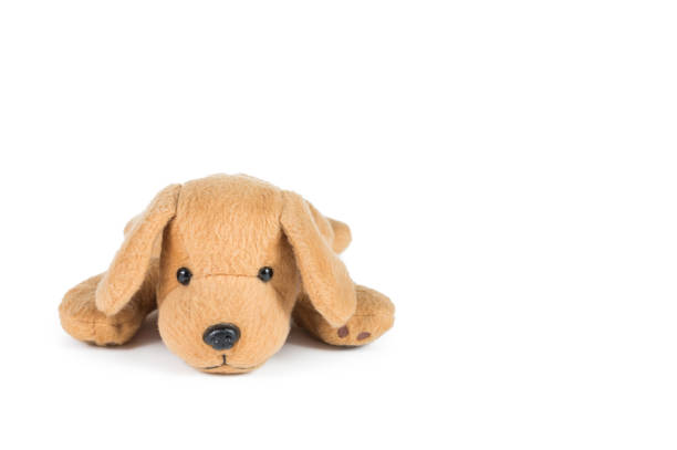 istock Brown dog doll isolated on white background 691544884