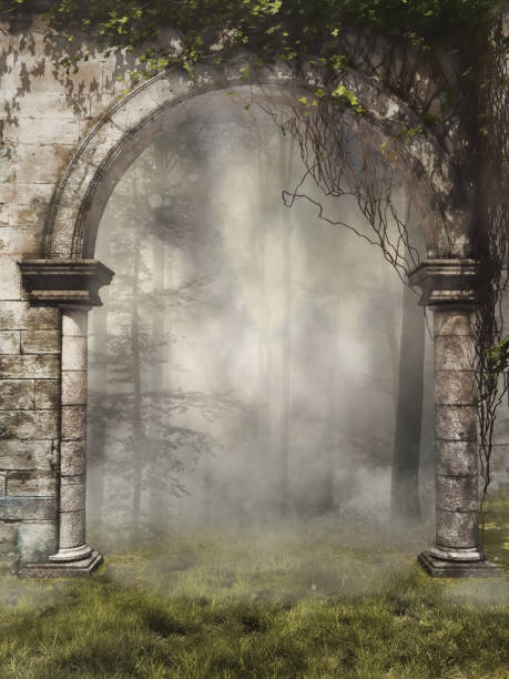 istock Gate to a foggy forest 691554626